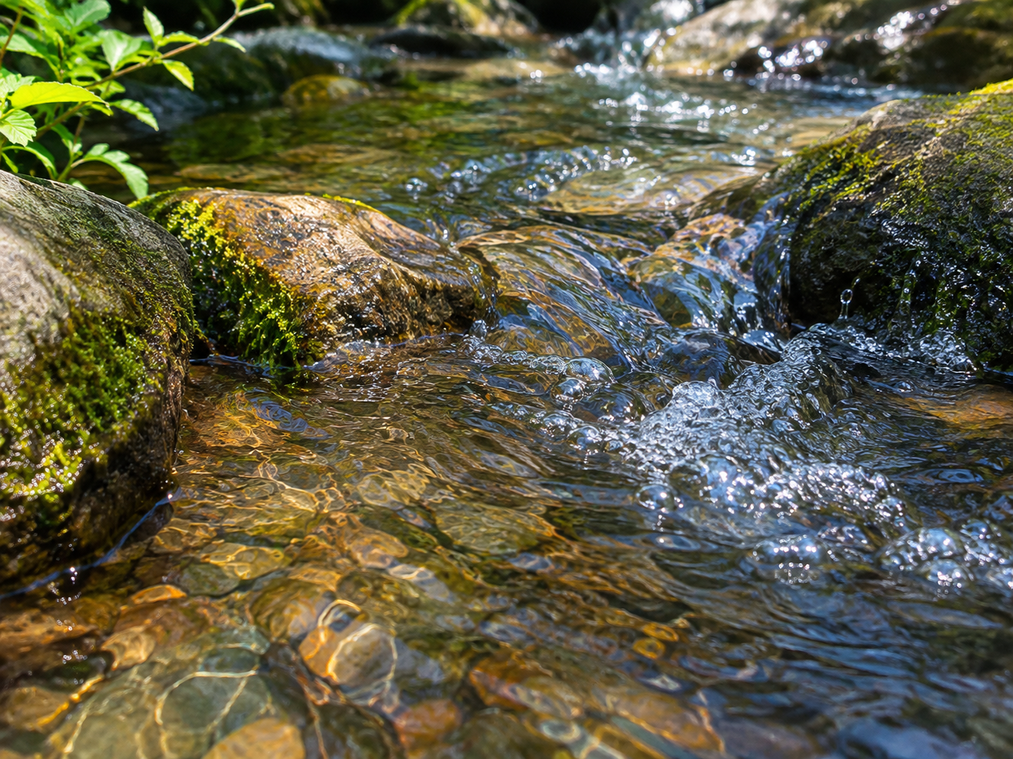 Clear brook water bubbling over moss-covered stones